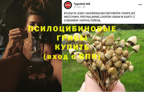 jwh Струнино