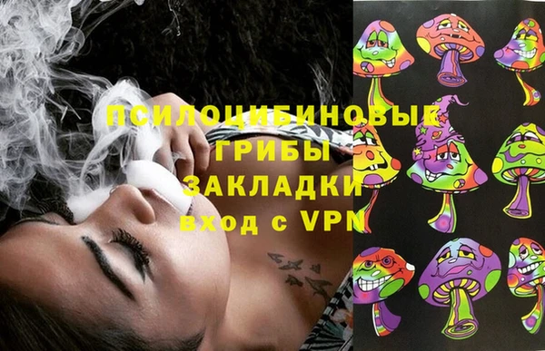мдпв Балахна