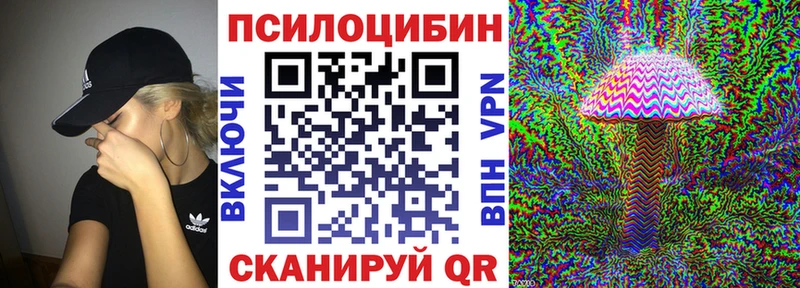 shop формула  купить  цена  Энем  Галлюциногенные грибы прущие грибы 